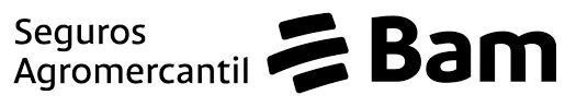 Seguros BAM